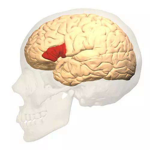 corollary_corolla是丰田哪款_Corollary翻译
