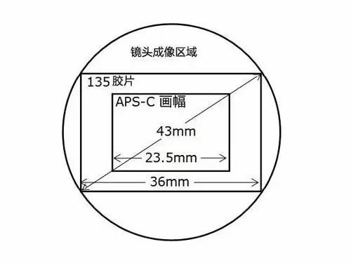 focusing怎么读英语_Focusing翻译_focusing