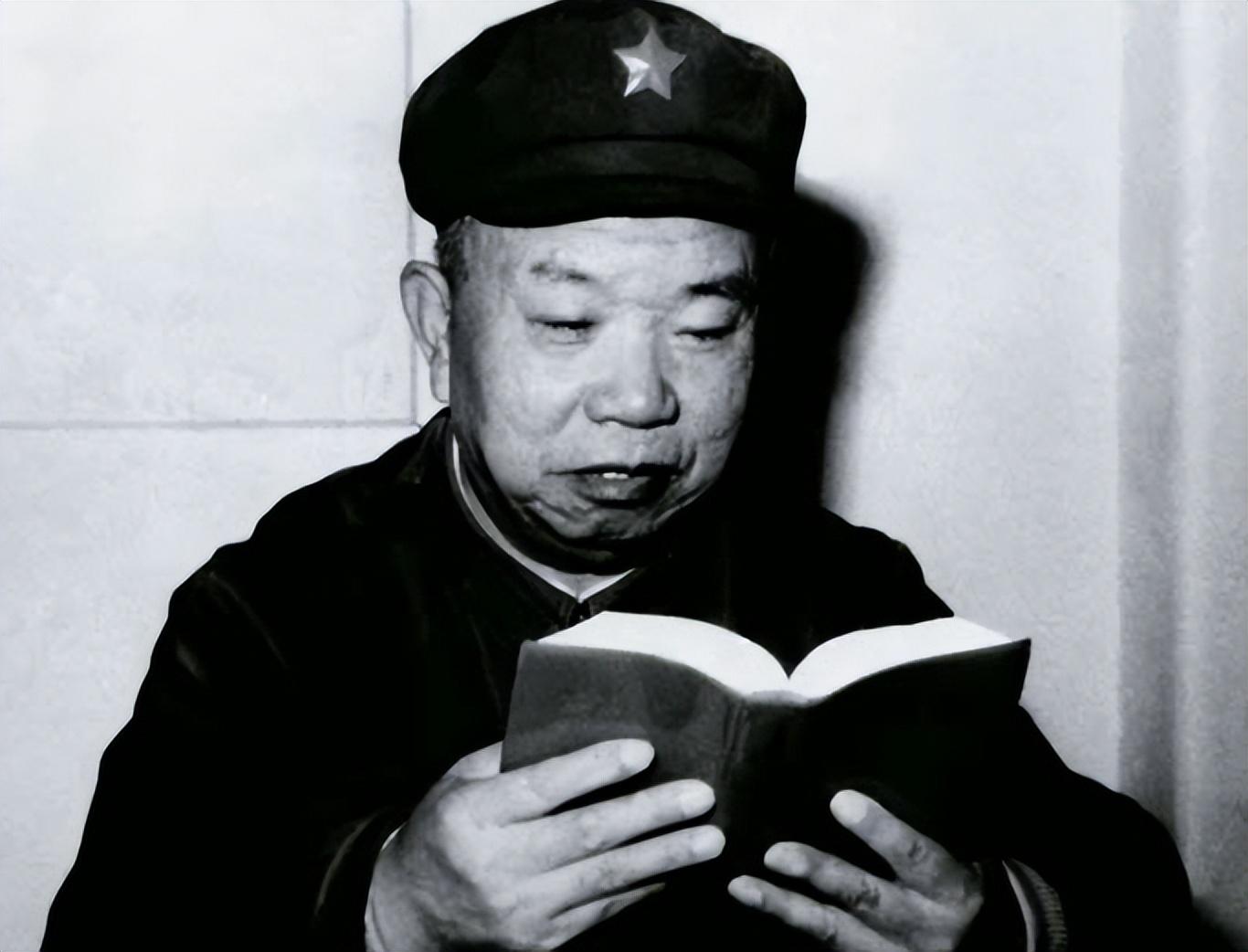 是什么意思啊_是_是
