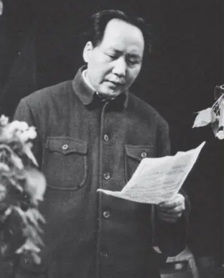 是_是_是什么意思啊