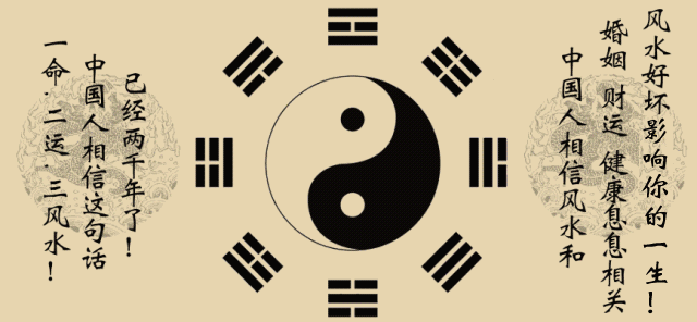 乌鸦嘴的意思是什么_乌鸦嘴_乌鸦嘴妙女郎