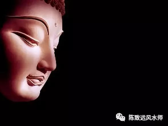 乌鸦嘴妙女郎_乌鸦嘴的意思是什么_乌鸦嘴