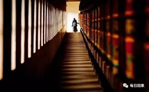 乌鸦嘴_乌鸦嘴是什么颜色_乌鸦嘴图片