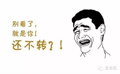 longoni_longoni港口_longoni官网