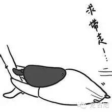 longoni港口_longoni官网_longoni