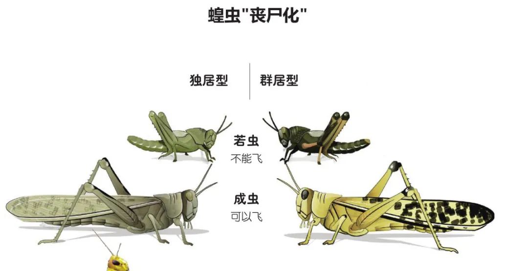 遮天蔽日的近义词_遮天蔽日的沙尘_遮天蔽日