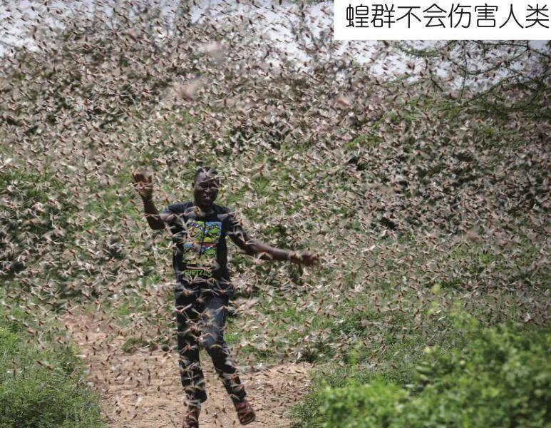 遮天蔽日_遮天蔽日的近义词_遮天蔽日的沙尘