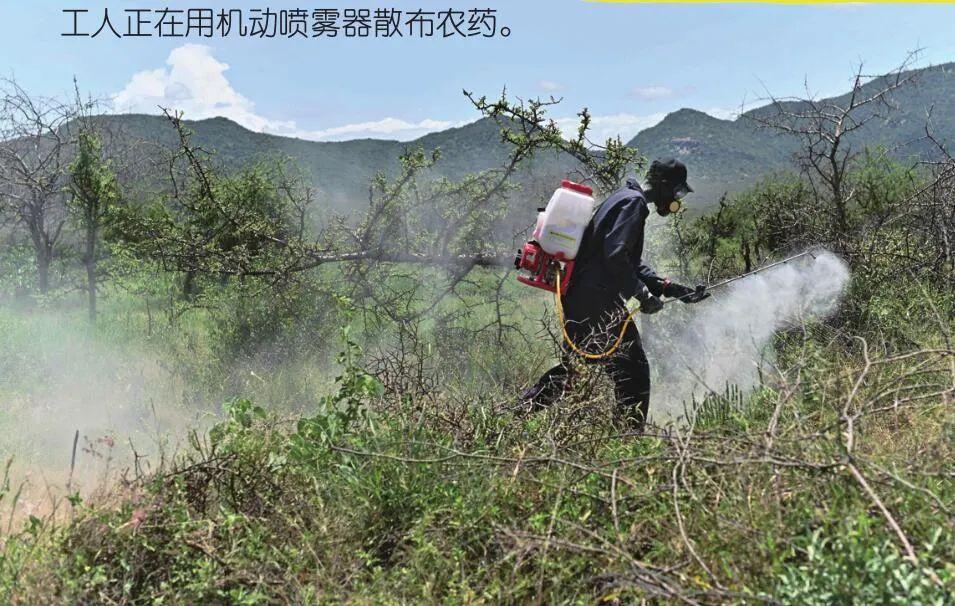 遮天蔽日_遮天蔽日的近义词_遮天蔽日的沙尘