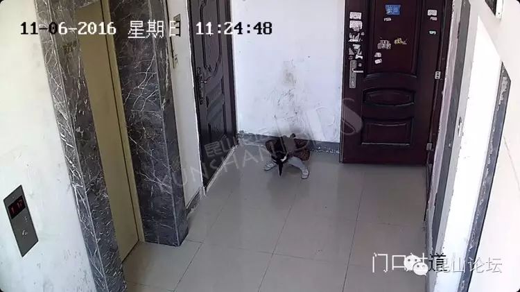 conny的意思_connycarter_conny
