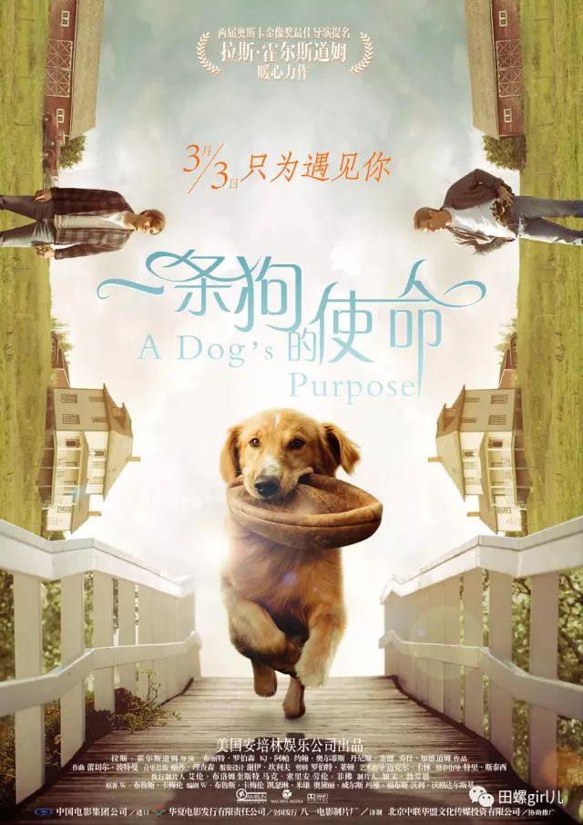 scrunch用英语怎么读_scrunchy_scrunchy怎么读