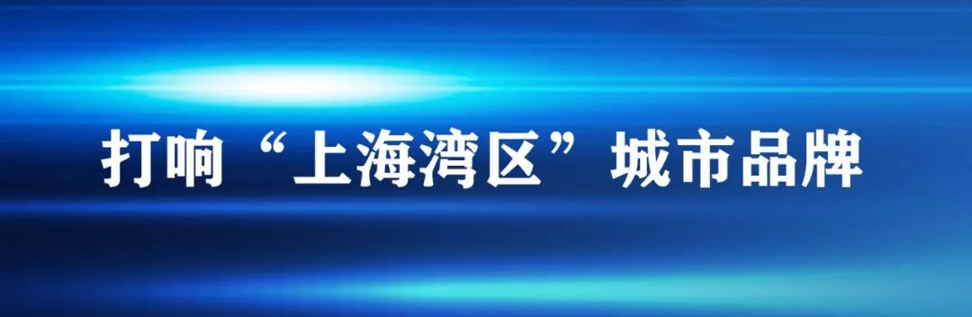 短驳车是什么车_短驳怎么读_短驳