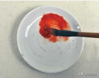 禽怎么读音_禽_禽流感