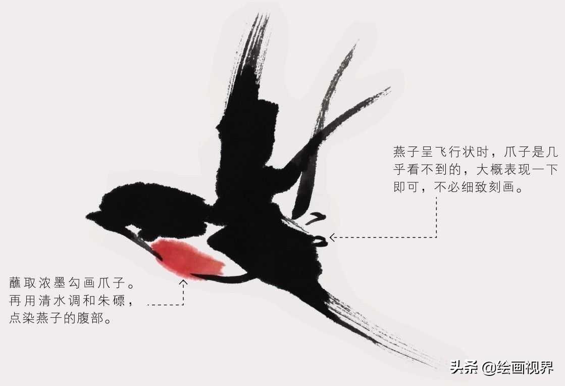 禽怎么读音_禽_禽流感