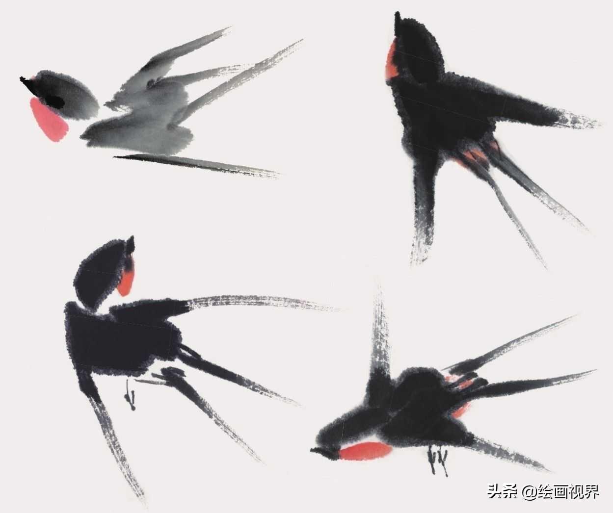 禽怎么读音_禽流感_禽