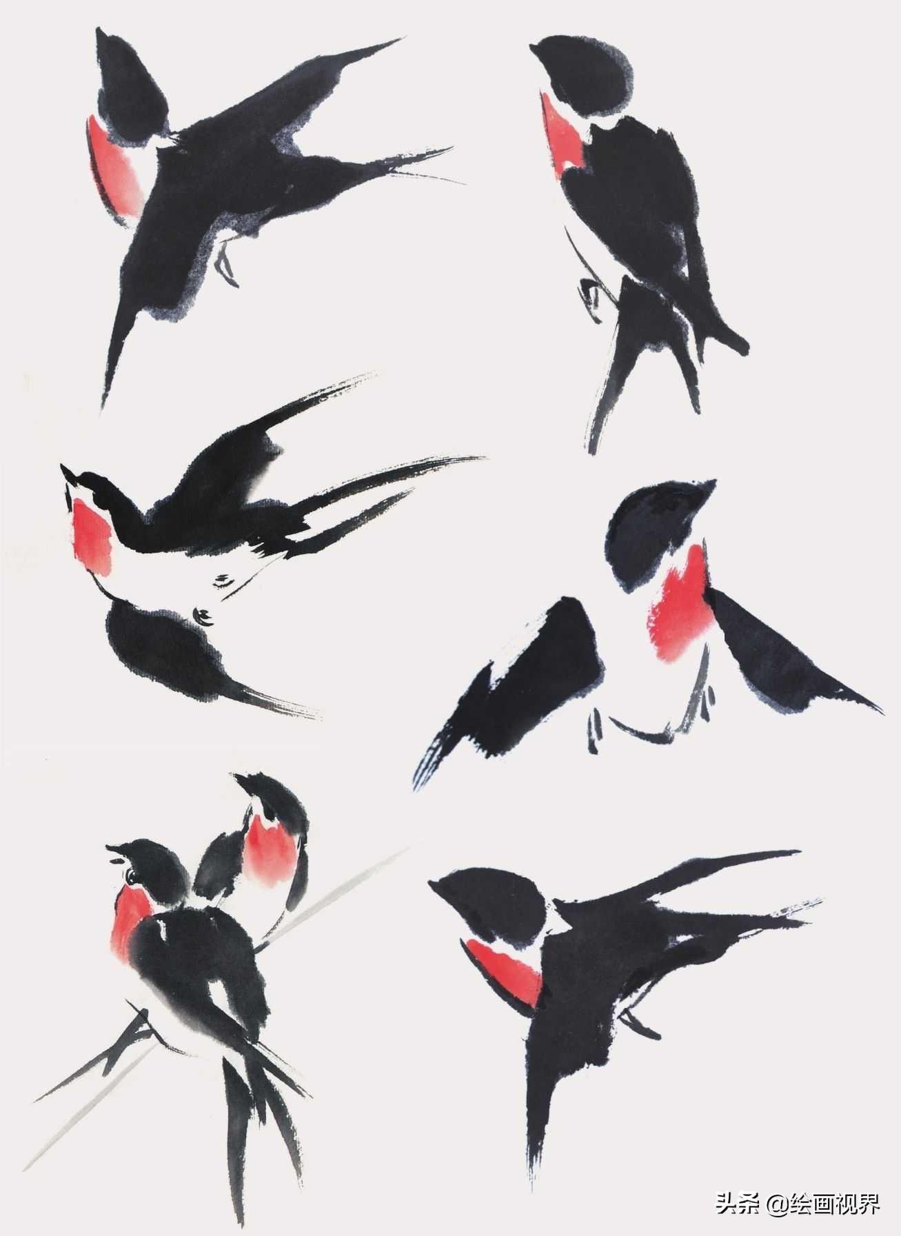 禽_禽流感_禽怎么读音