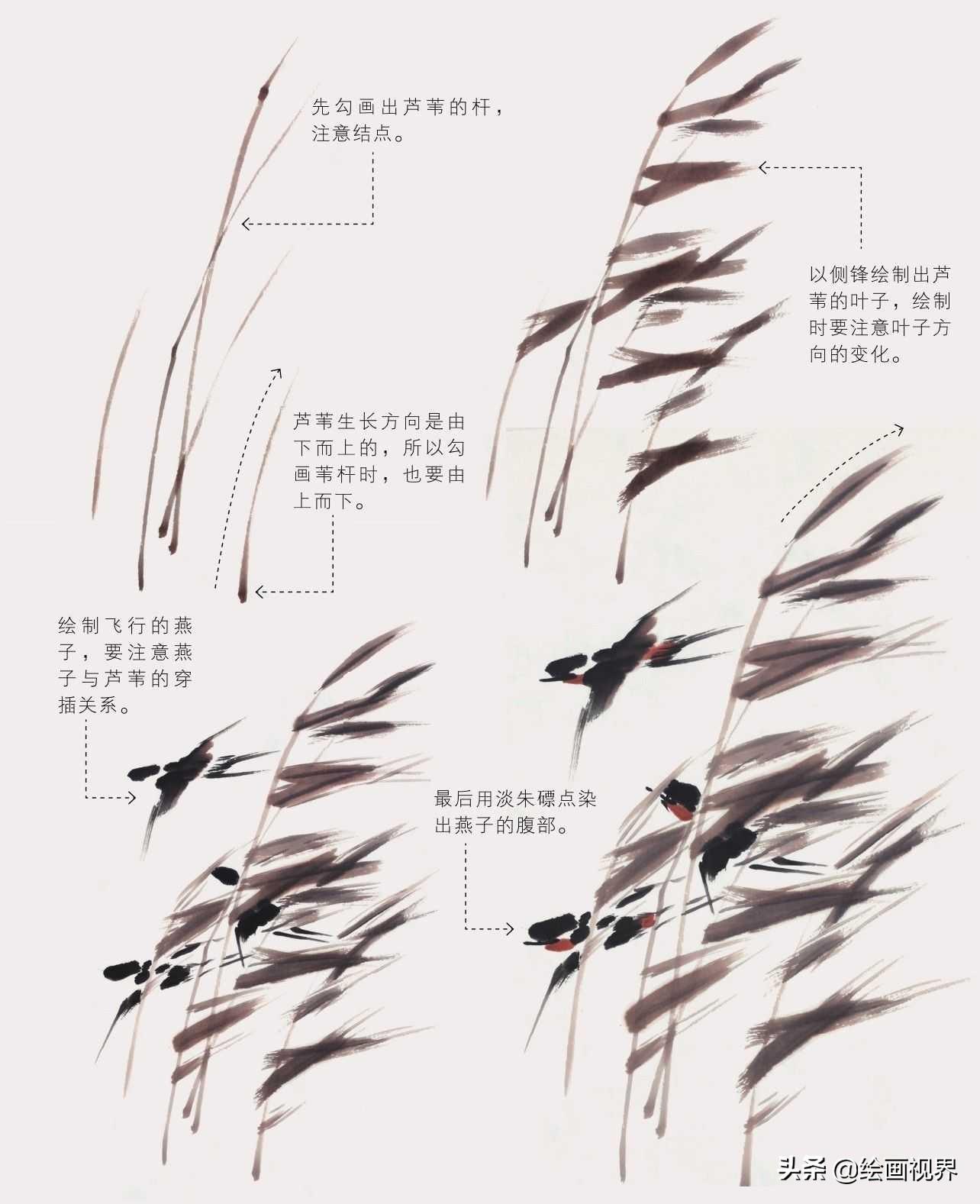 禽_禽流感_禽怎么读音