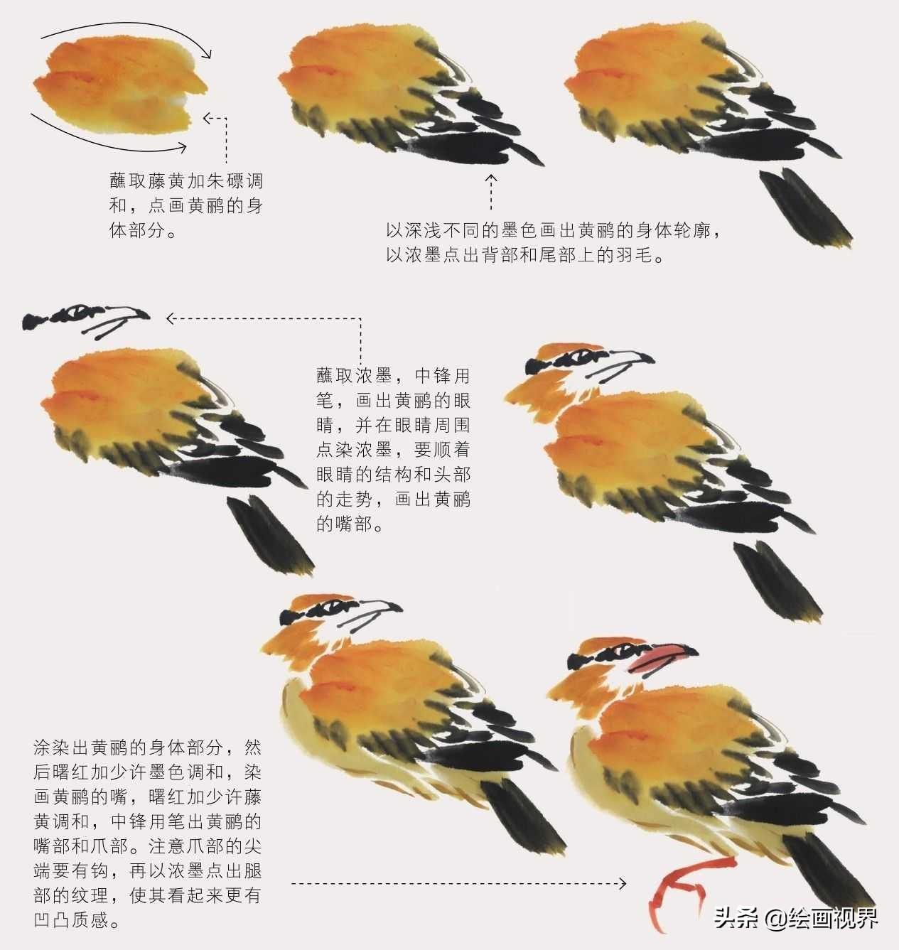 禽怎么读音_禽_禽流感
