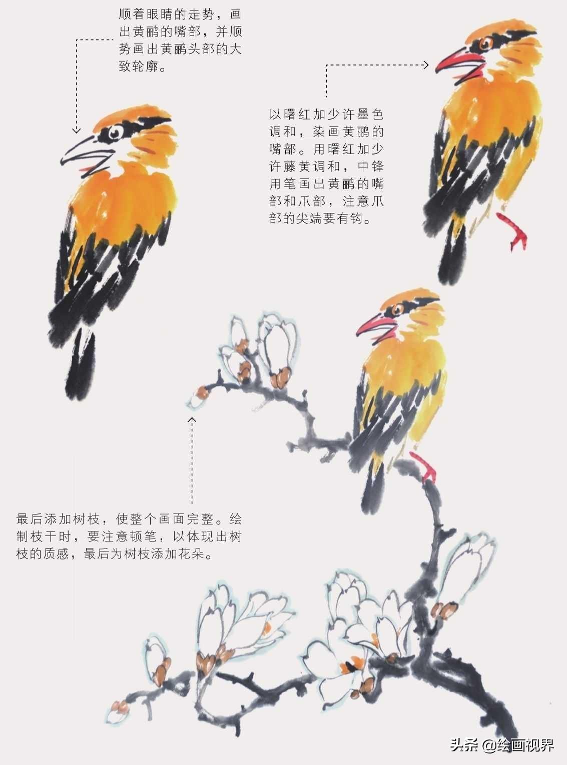 禽_禽流感_禽怎么读音