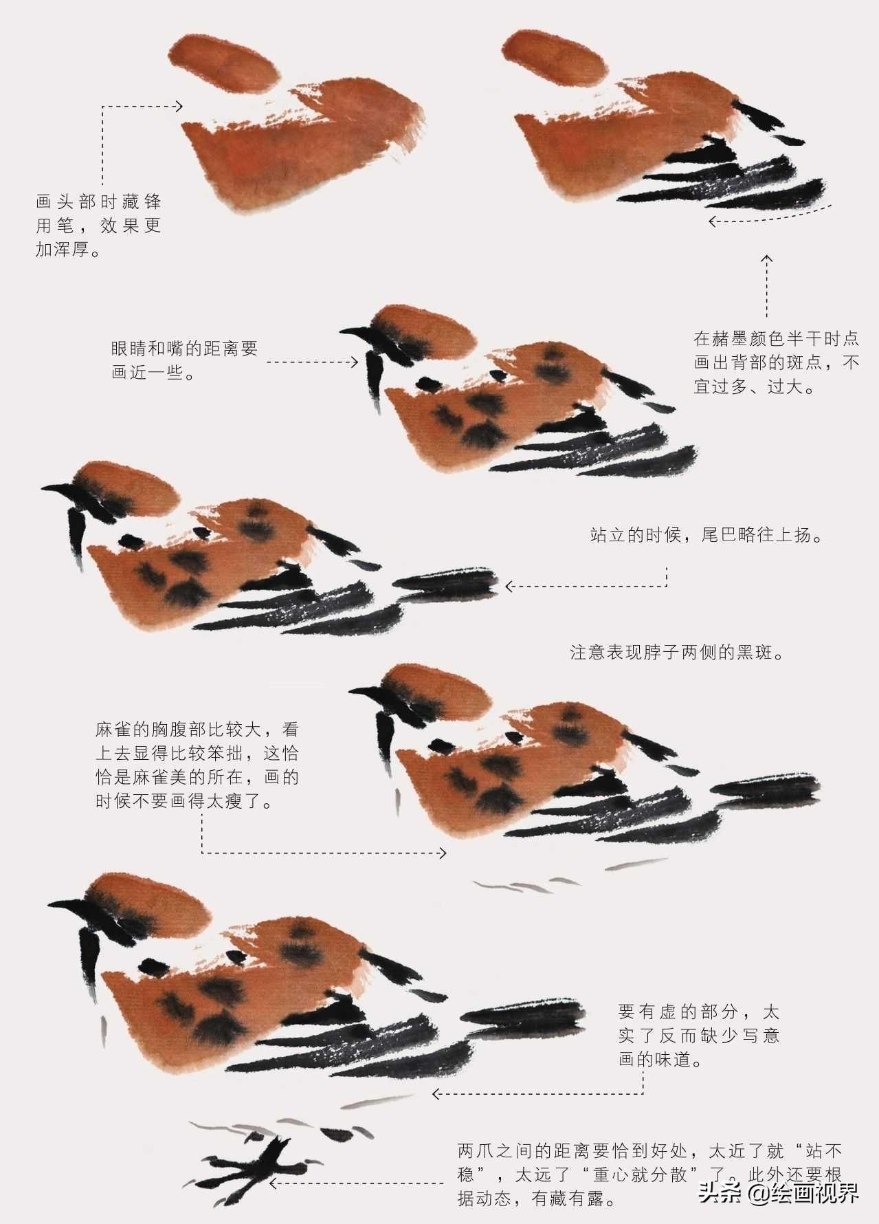 禽流感_禽怎么读音_禽