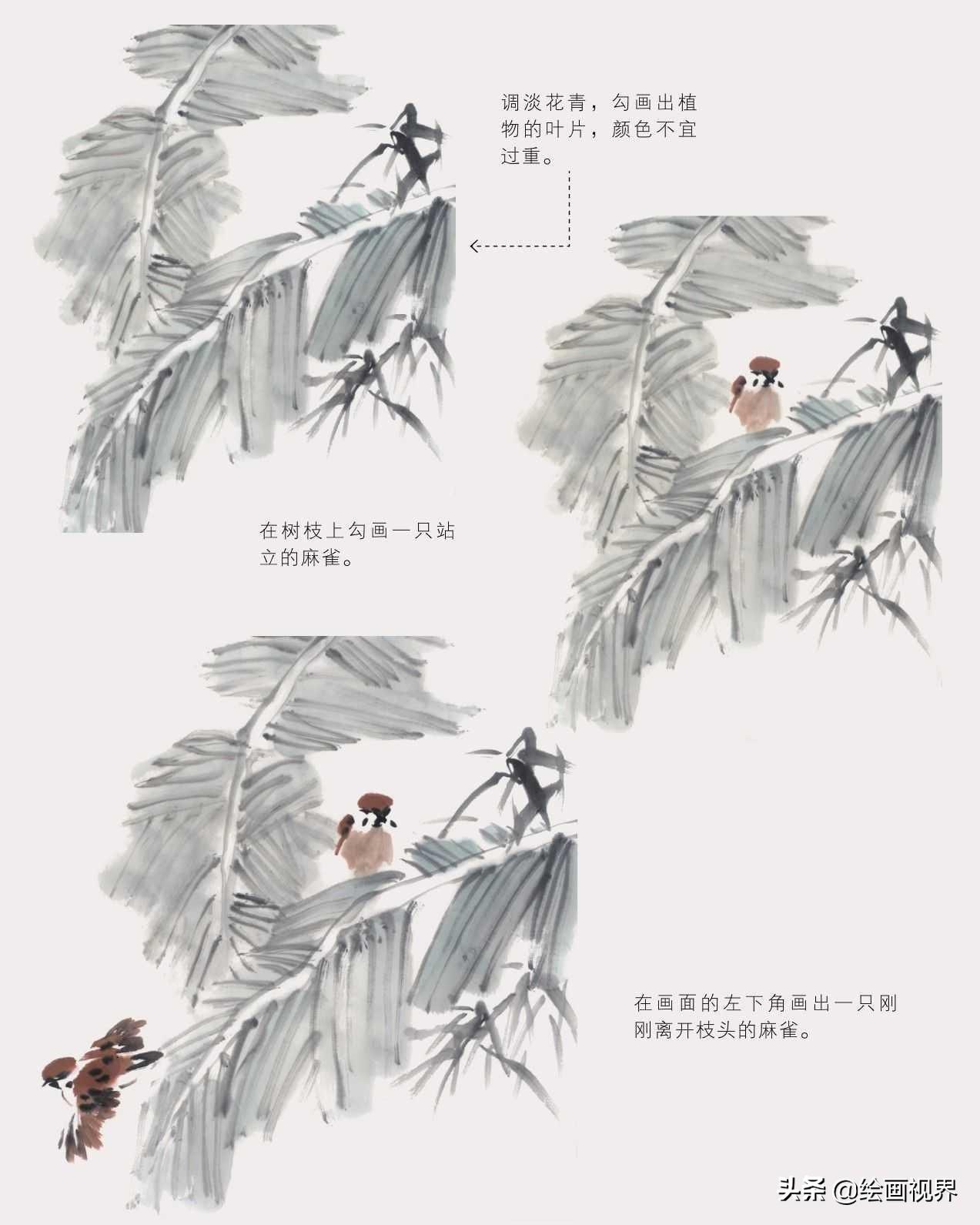 禽_禽怎么读音_禽流感
