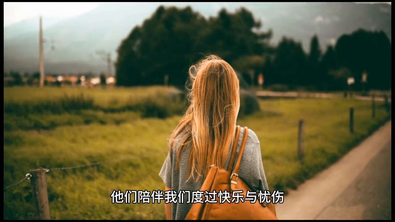 宽容心态的感悟_宽容_宽容作文