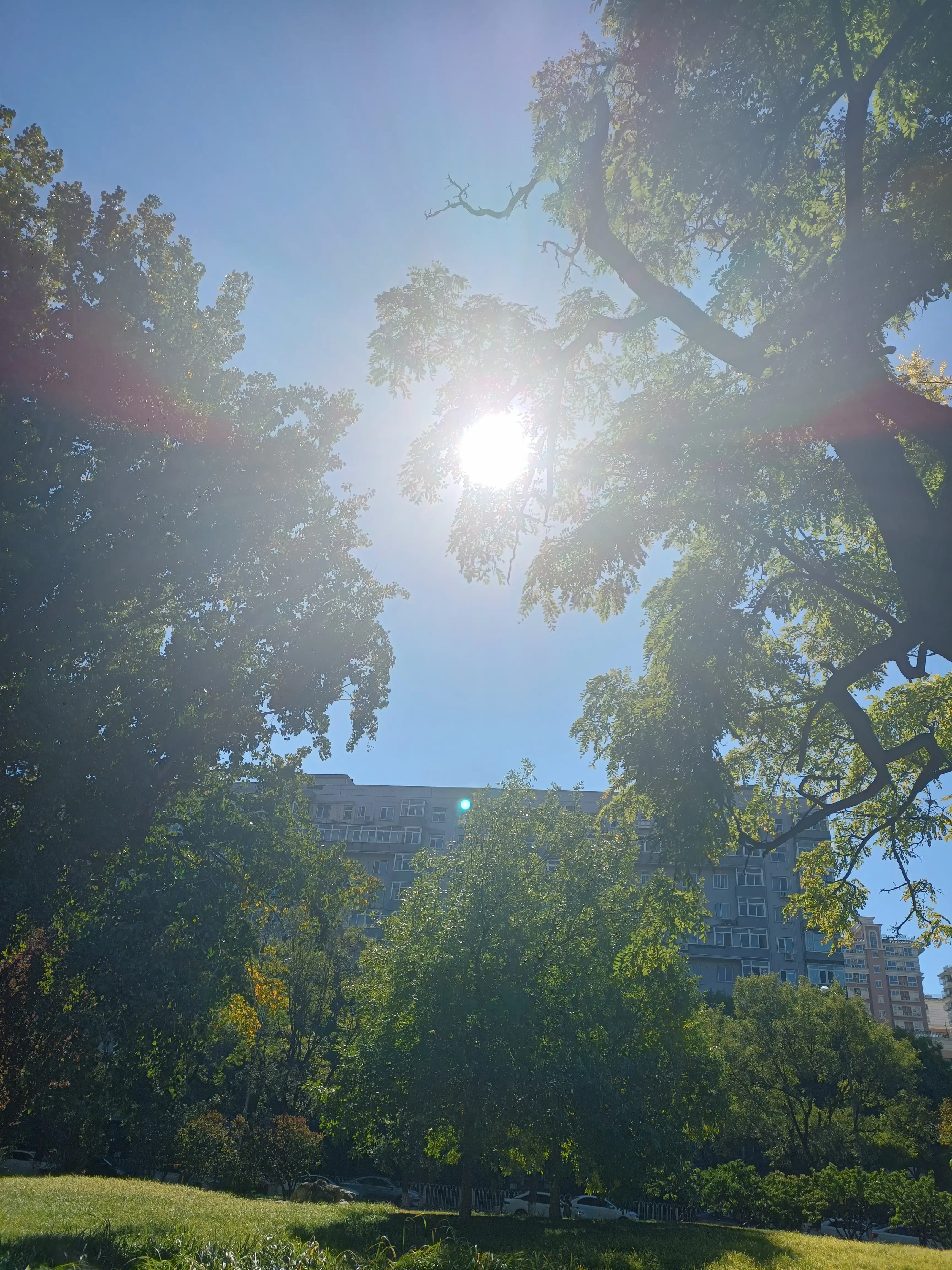 溜达的拼音_溜索_溜