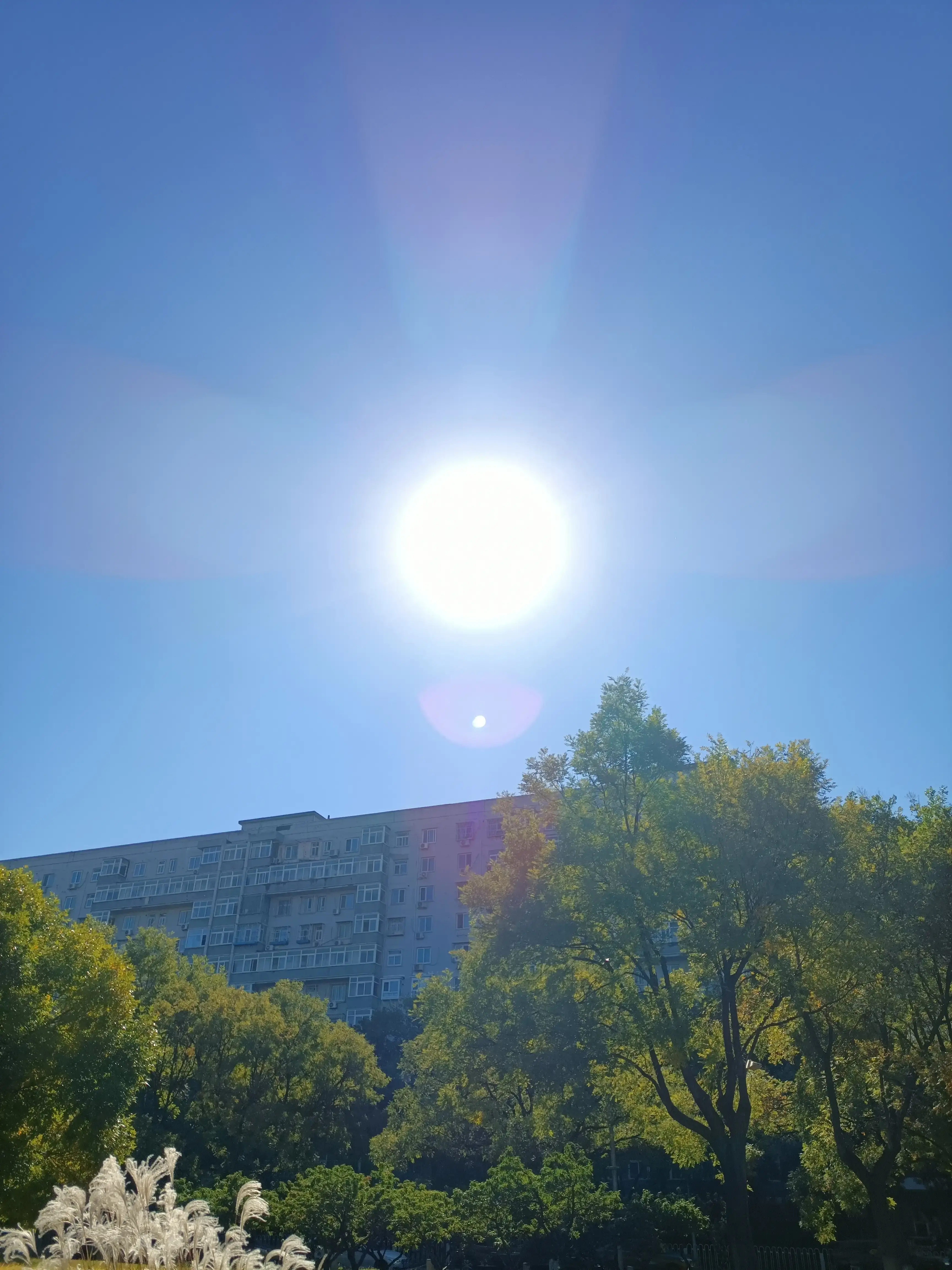 溜索_溜达的拼音_溜