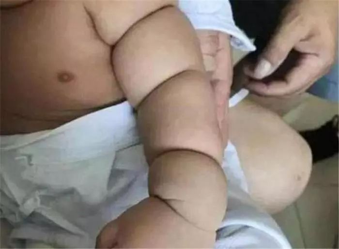 胖东来_胖龙的小生活_胖嘟嘟