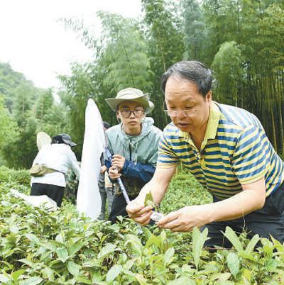 丹东格拉斯_格拉丹东_丹东格拉思