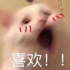 身陷泥潭不能自拔_想念死去的狗狗不能自拔_不能自拔
