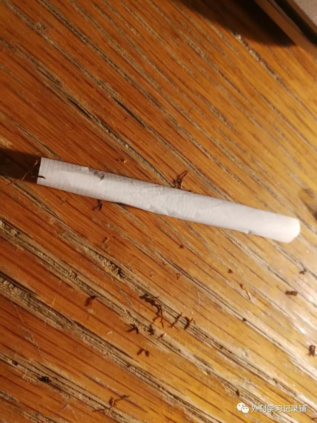 vapour_vapour_vapour什么意思