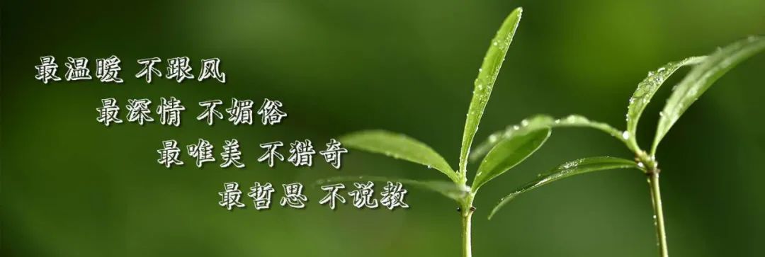 前言不搭后语是成语吗_前言不搭后语_前言不搭后语例子