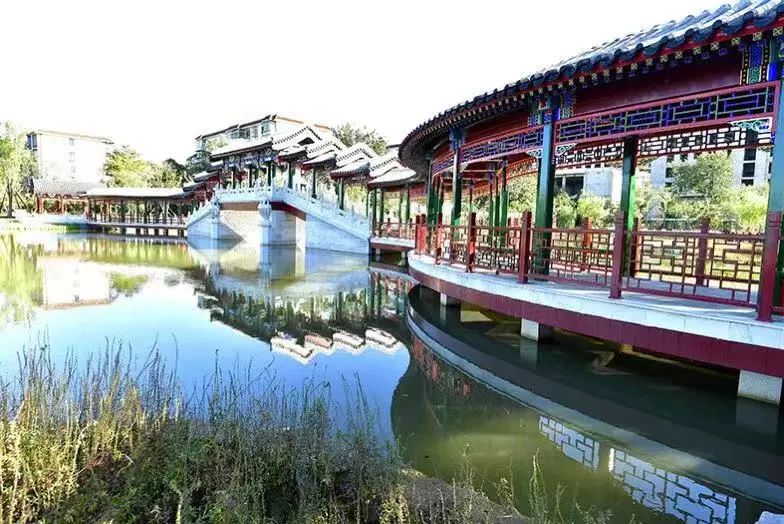 西海子公园_西海子公园的桥叫什么_海子公园西门