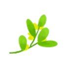 boastedabout_boasted怎么读_boasted
