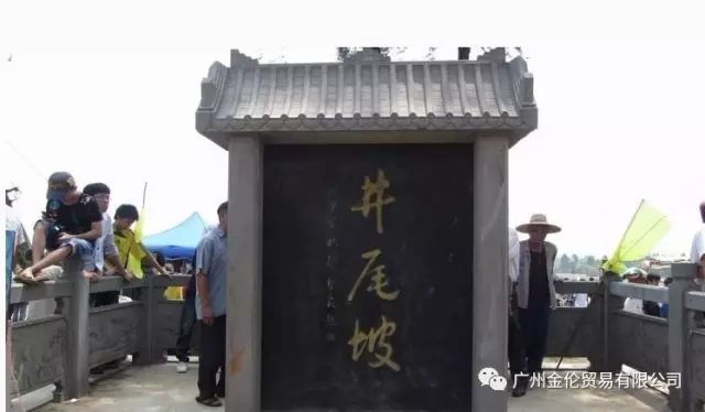 故事汇天下奇闻_天下奇闻异事怪事素材网站_天下奇闻