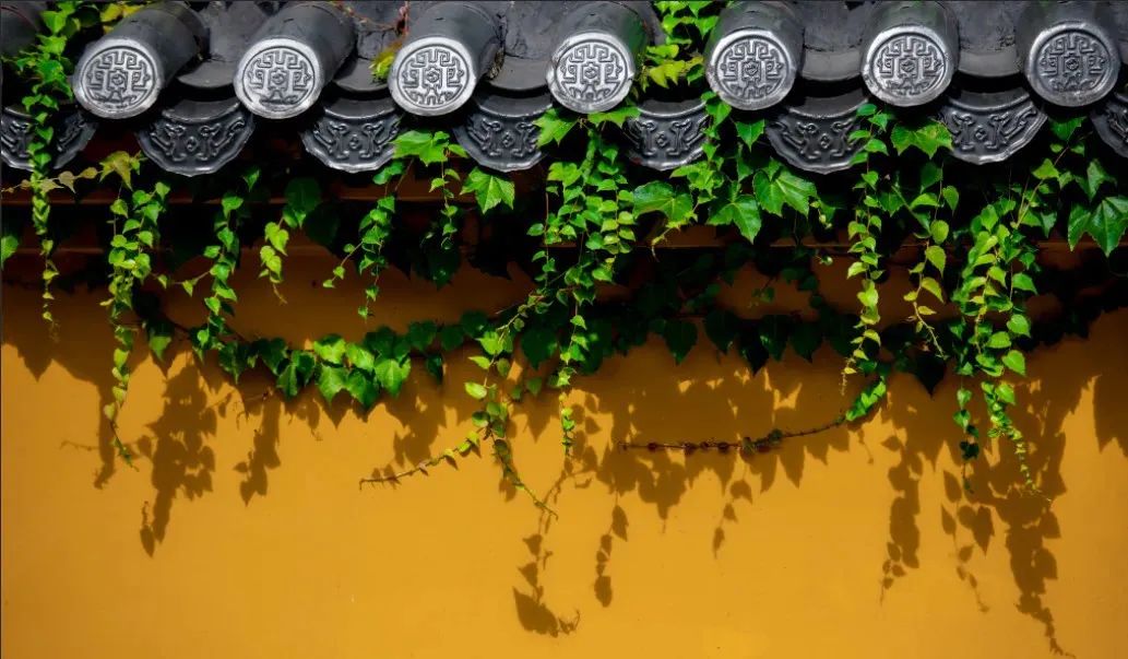反之_反流性食管炎症状_反派千金等级99