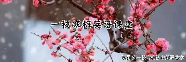 门的单位是扇还是樘_mended_门的等级分类