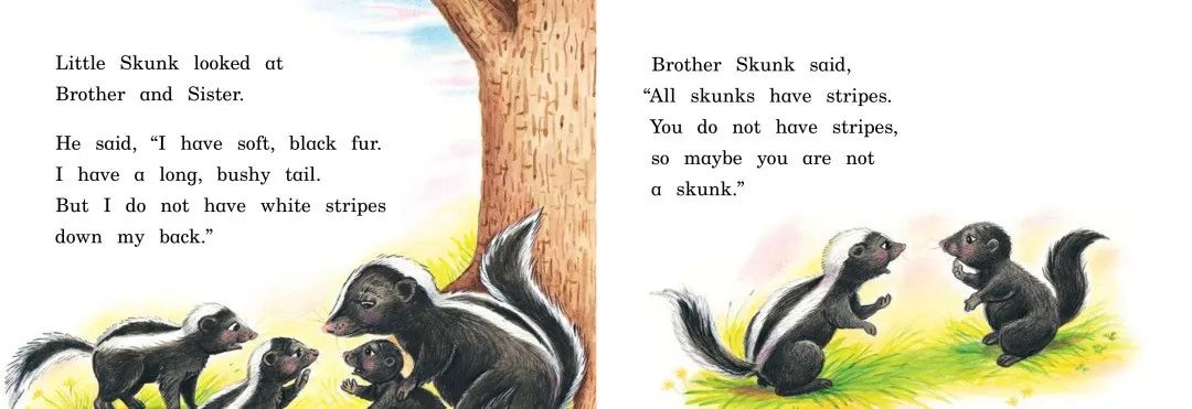 skunk翻译_skunk_skunk怎么读
