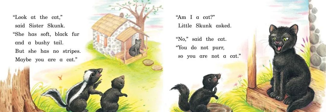 skunk怎么读_skunk翻译_skunk