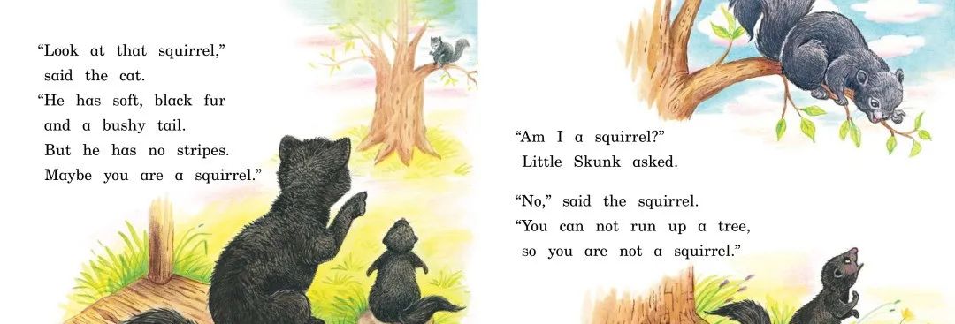 skunk翻译_skunk怎么读_skunk