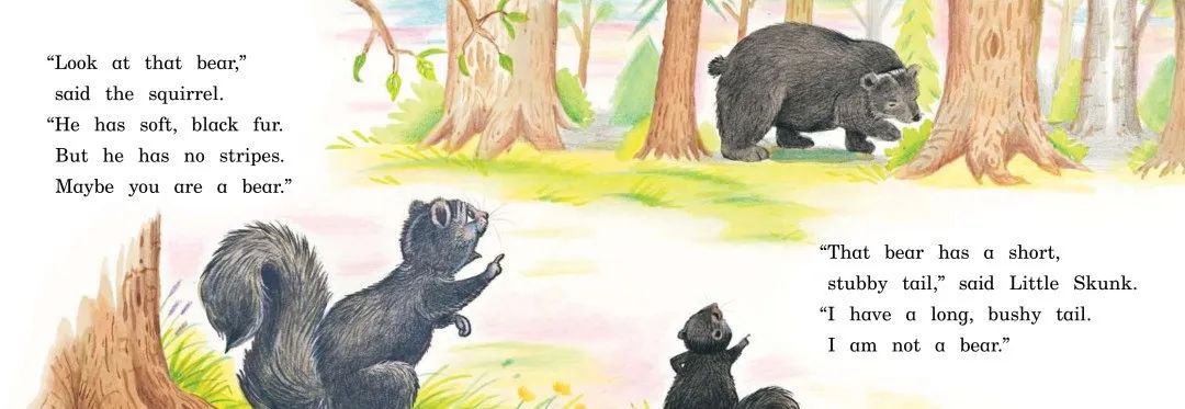 skunk怎么读_skunk翻译_skunk