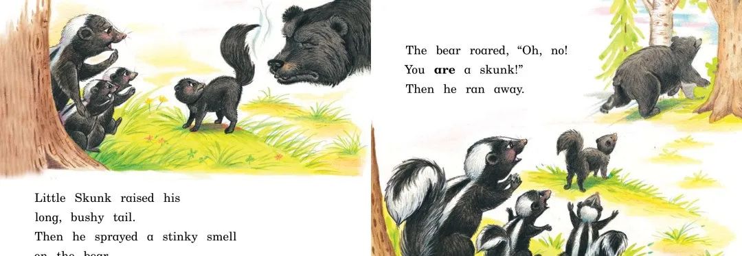 skunk翻译_skunk_skunk怎么读