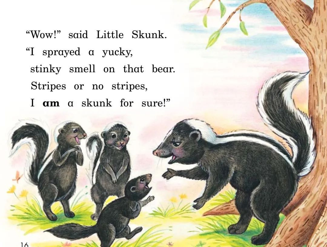 skunk怎么读_skunk_skunk翻译