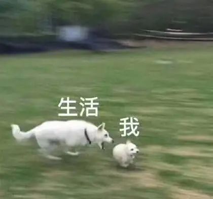 高谈阔论有何用_高谈阔论的_高谈阔论
