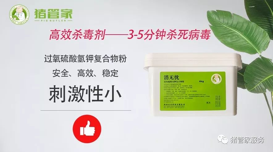 复合物英文_复合物_复合物是什么意思