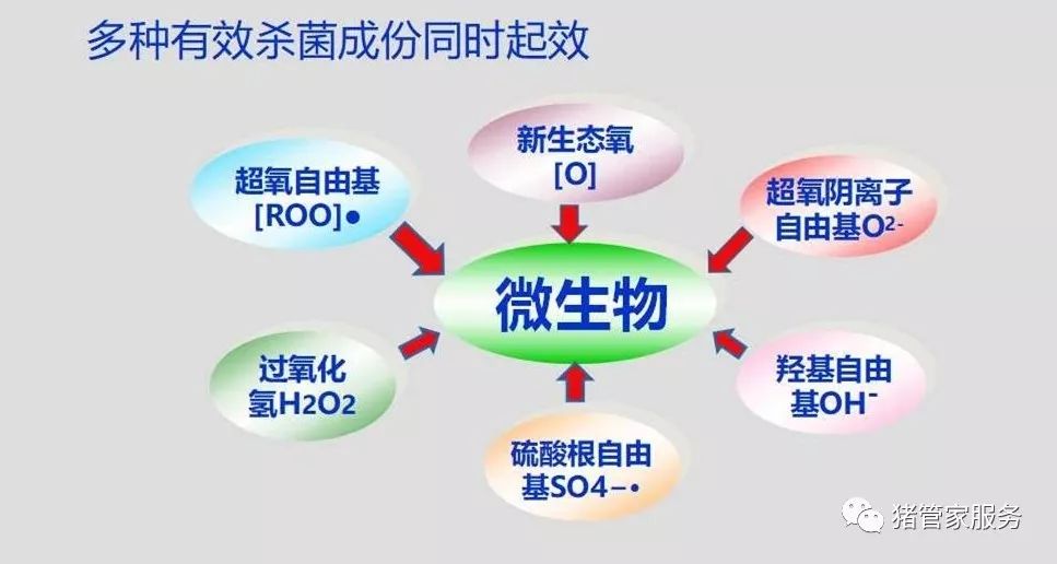 复合物_复合物是什么意思_复合物英文