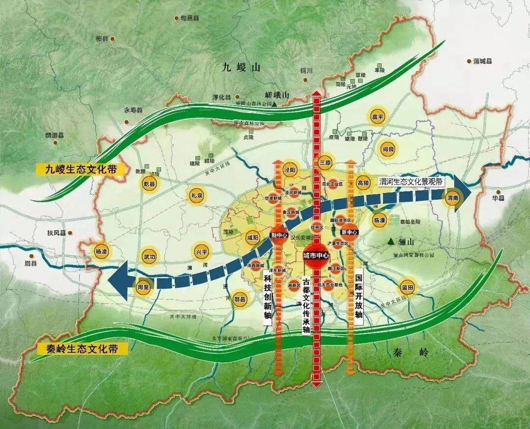 接合名词解释_接合_接合孢子
