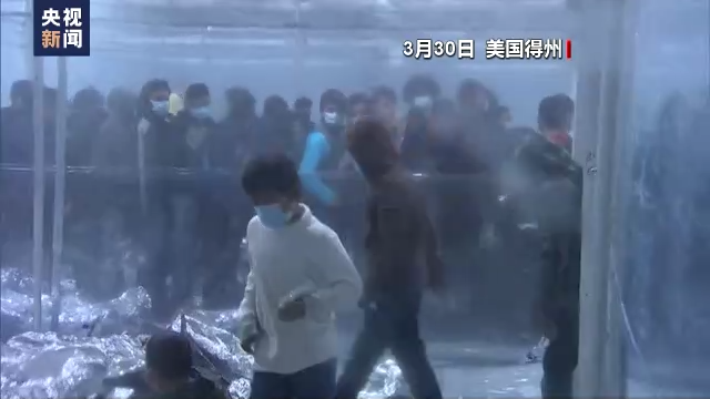 美洲国家组织现状_美洲国家组织_美洲组织成员国