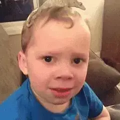 altercation动词_altercation_altercation记忆