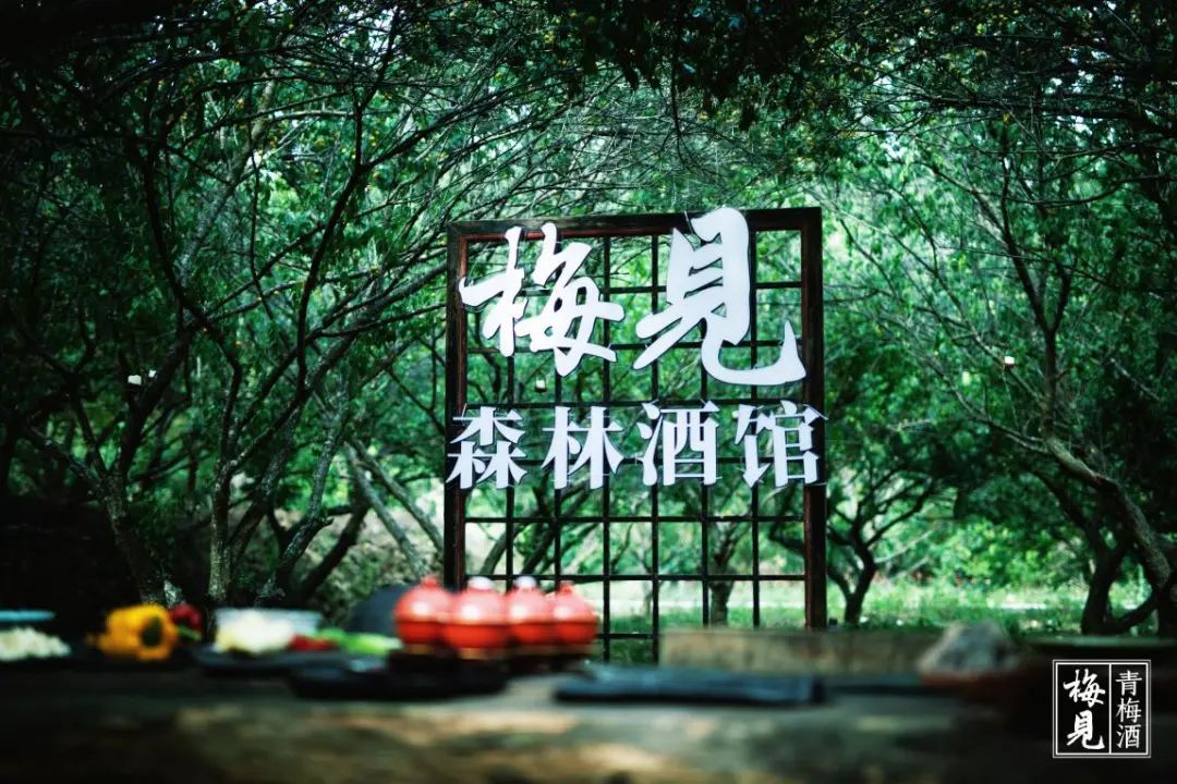 几经_几经_几经